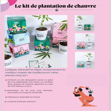 Charger l'image dans la galerie, Kit de plantation de chanvre à faire pousser