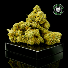 Charger l'image dans la galerie, Amnesia 2.0 CBD Indoor Hydro