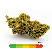 Charger l'image dans la galerie, Cali Haze CBDX