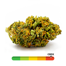 Charger l'image dans la galerie, Magic Mad CBDX