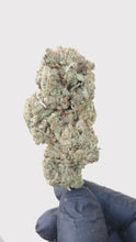 Charger et lire la vidéo dans la visionneuse de la Galerie, Bubble Gum 2.0 CBD Indoor Hydro