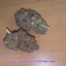 Charger et lire la vidéo dans la visionneuse de la Galerie, Purple PineApple Kush 2.0 CBD Indoor Hydro