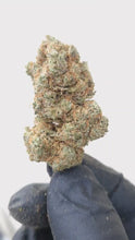 Charger et lire la vidéo dans la visionneuse de la Galerie, Banana Berry 2.0 CBD Indoor Hydro