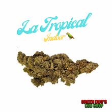 Charger l'image dans la galerie, Tropical CBD Indoor Hybride