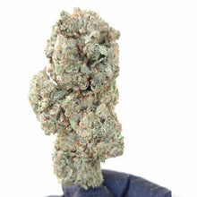 Charger l'image dans la galerie, Bubble Gum 2.0 CBD Indoor Hydro