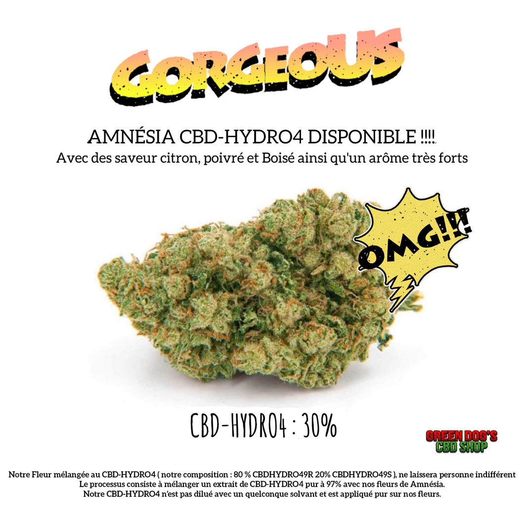Amnésia CBD-HYDRO4 30% Distillate