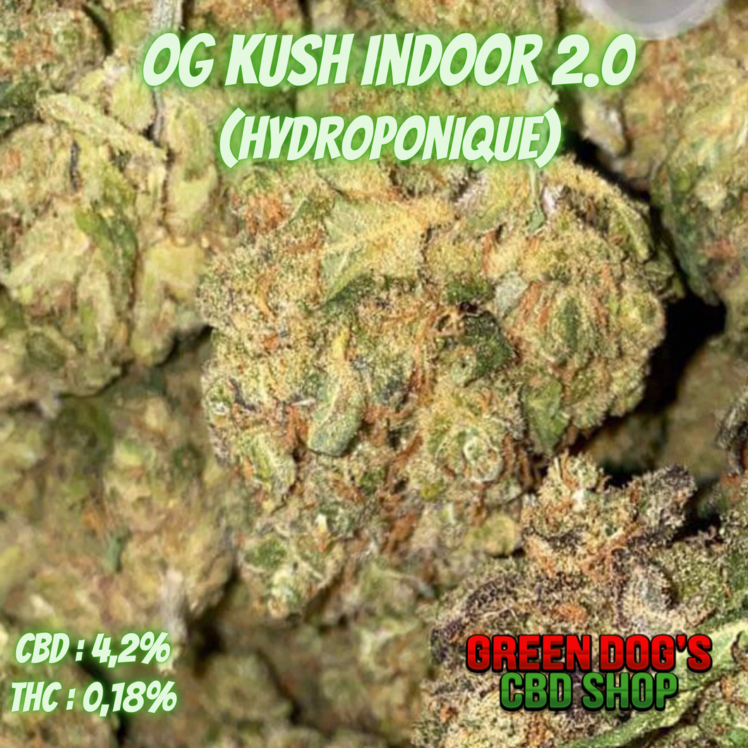 OG Kush 2.0 CBD Indoor Hydro