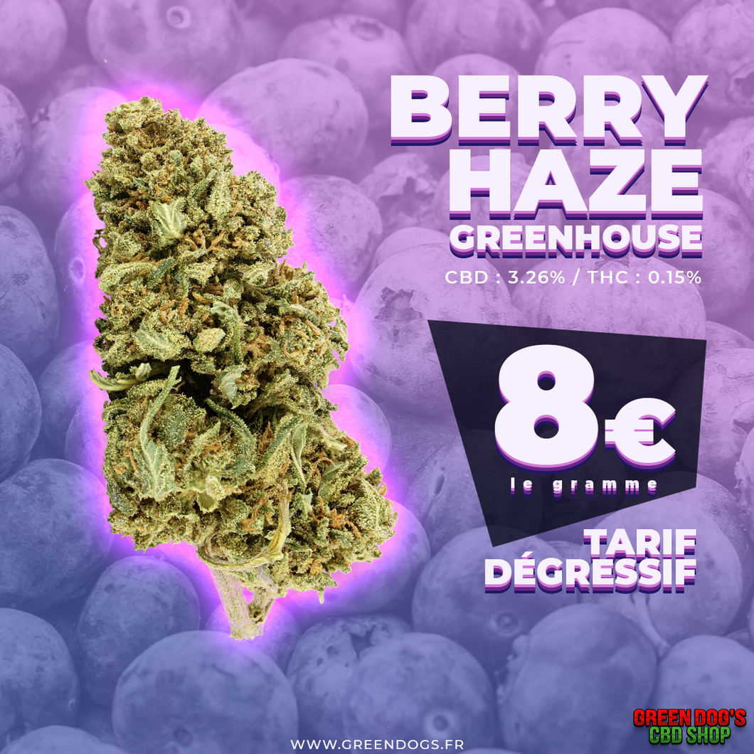 Berry Haze CBD Greenhouse