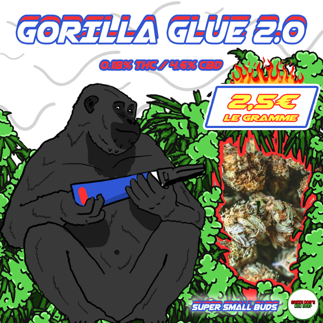 Gorilla Glue 2.0 Super Pop Corn (2-3 cm) CBD Greenhouse