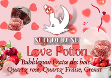 Load image into Gallery viewer, Bougie de luxe artisanale Nuit De Lune - Love Potion

