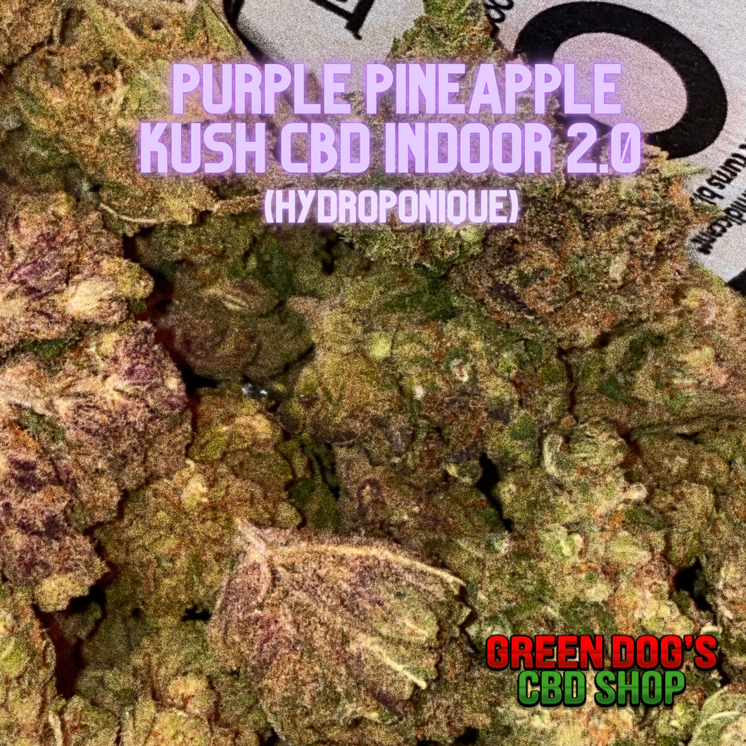 Purple PineApple Kush 2.0 CBD Indoor Hydro